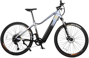 Cecotec Avanti 29 bicicleta eletrica de montanha